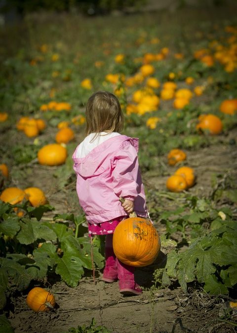 Fall Is Fabulous in Franklin County!