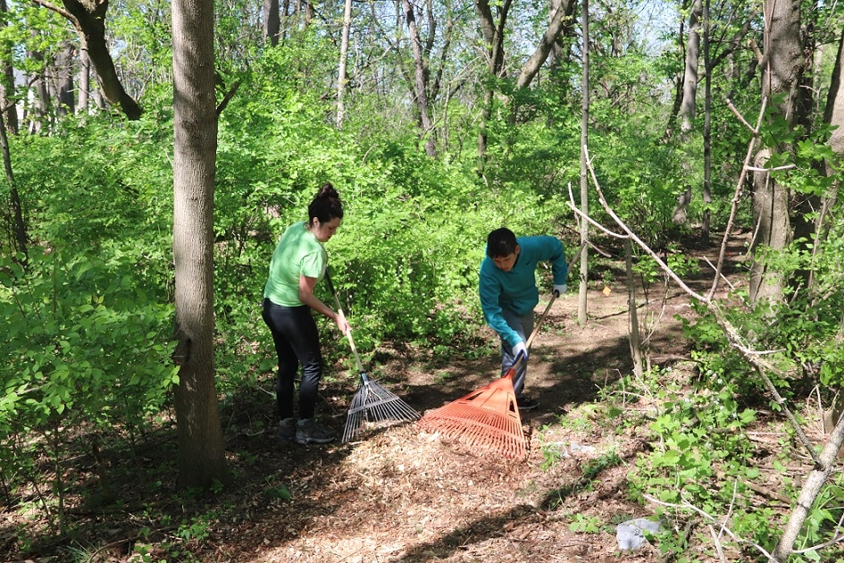 Fall Work Day At Ebbert Springs