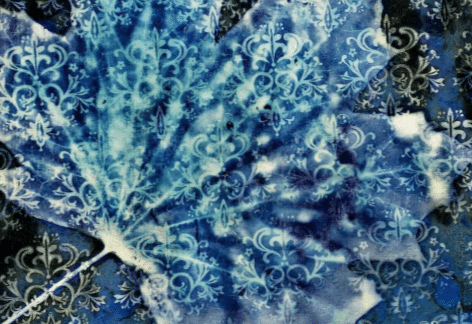 Wet Cyanotype Workshop