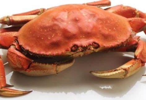 AYCE Crab Feed – Greencastle VFW Club