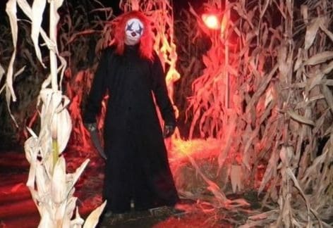 Stoner’s Dairy Farm & Corn Maze – Haunted Nights 2020