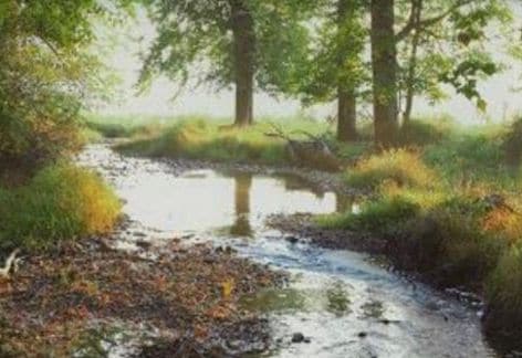 Intro to the Antietam Meadow with Dr. Doris