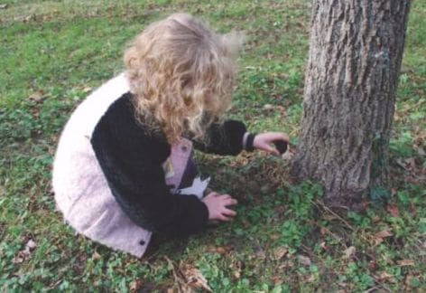 EXPLORE! Winter Nature Treasures