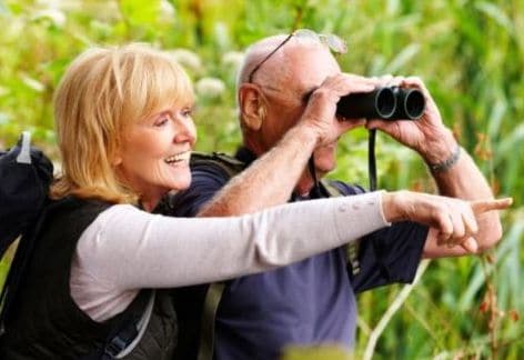 SUMMER, FALL & WINTER “SOAR” Bird Walks – The Institute