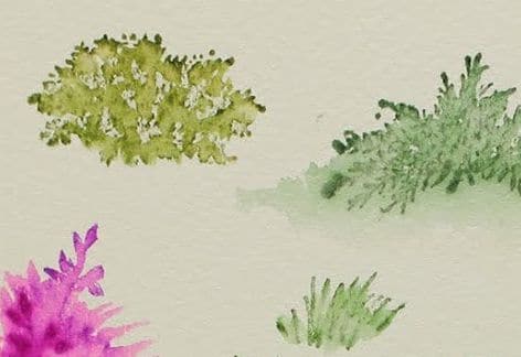 Beginner Watercolor Series – February 2021 at Joyful Arts Studio