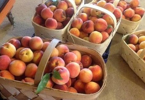 Fort Loudon Peach Festival, Fort Loudon Community Center