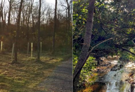 Woods, Wattle & Water Studies at the Conococheague Institute