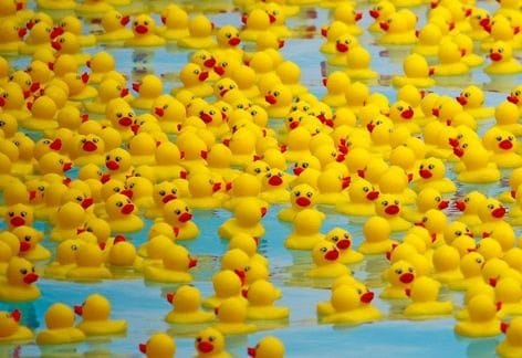 Duck Derby, Downtown Chambersburg