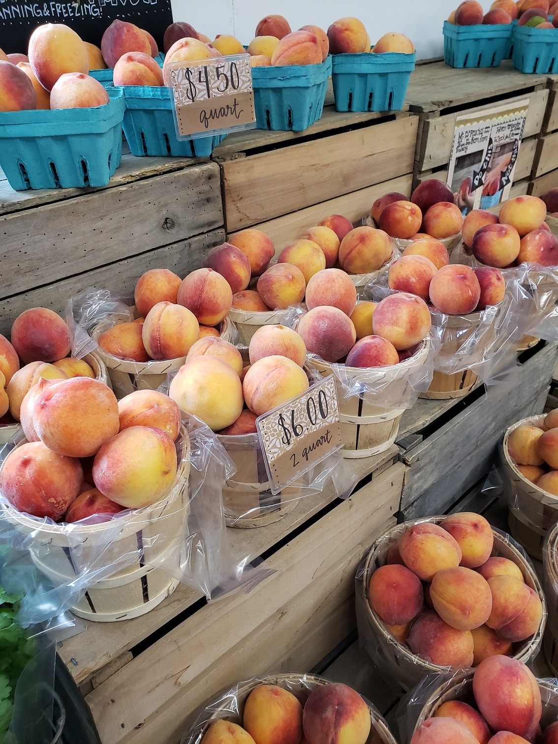 Franklin County Gold Chambersburg Peaches!Visit Franklin County PA
