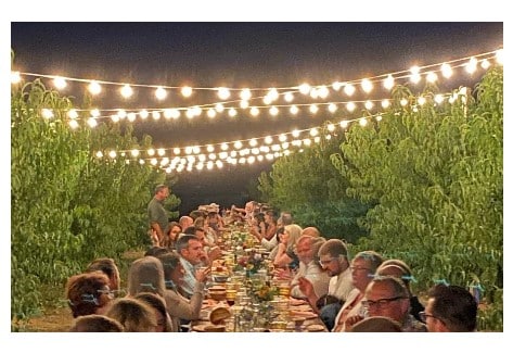 Farm to Table Dinner in the Peach Orchard, Country Creek Produce