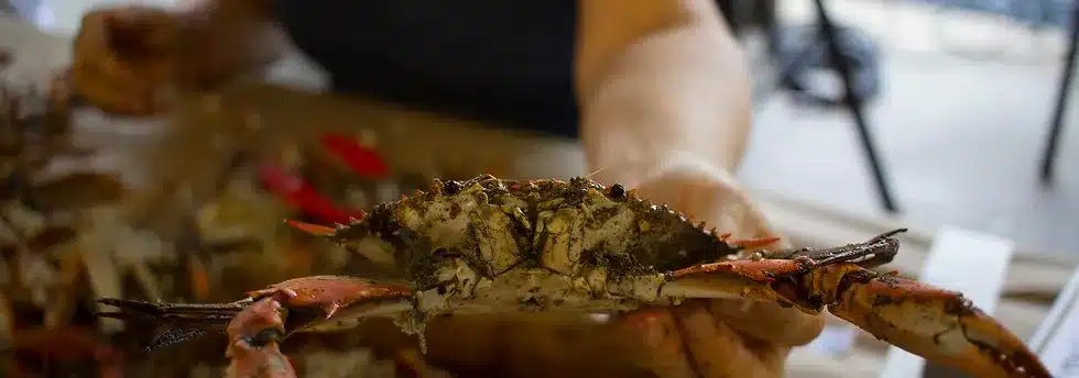 Downtown Chambersbug Inc. Hosts 27th Crabfeast 2023