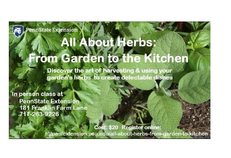 From Kitchen to the Garden at Penn State Extension