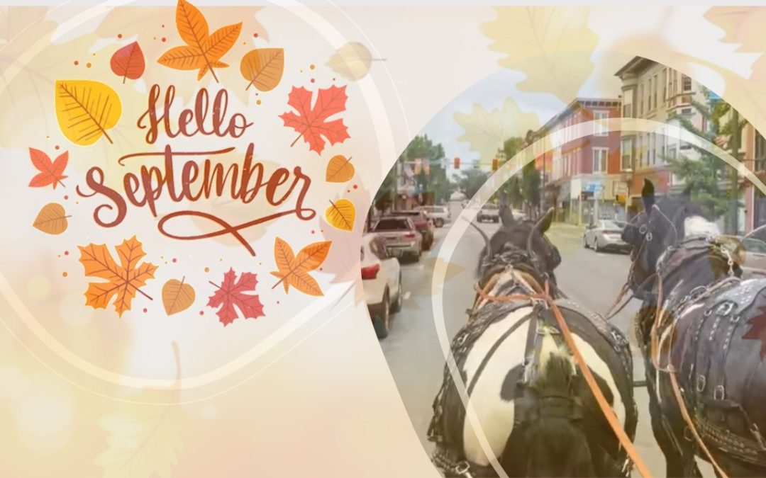 Fall Horse & Wagon Rides in Downtown Chambersburg