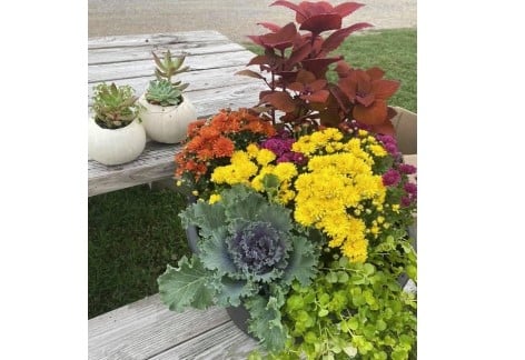 Fall Plant Night, Backroads Greenhouse