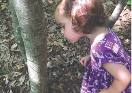 Wee Wonders Nature Series for Preschoolers Fall 2023, The Institute