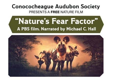 Conococheague Audubon Presents A Free Nature Film, Chambersburg