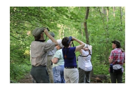 FALL “SOAR” Bird Walks, The Institute