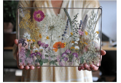 Pressed Wildflower Frame | Grayce Gardens, Chambersburg