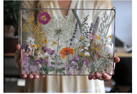 Pressed Wildflower Workshop | Grayce Gardens, Chambersburg