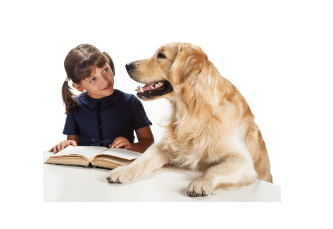 Come Read To A Therapy Dog | Grove Family Library