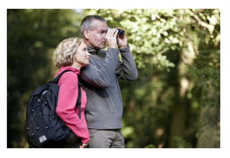 Beginning Birder Workshop | Conococheague Audubon, Caledonia State Park