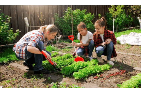 Franklin County 4-H Junior Gardener Club | Penn State Extension