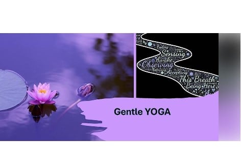Gentle Yoga with Melissa Jo Knepper at 11/30 Visitors Center, Chambersburg