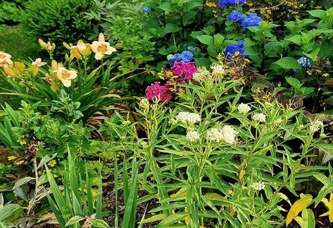 Color and Texture in a Four-Season Garden | Penn State Extension, Chambersburg