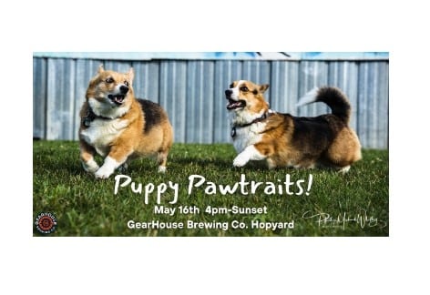 Puppy Pawtraits with Mr. Phab Photos | Gearhouse Brewing Co., Chambersburg
