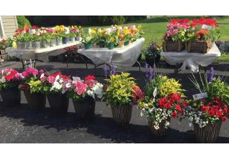 Flower Sale | The Potting Shed & Beyond, Waynesboro