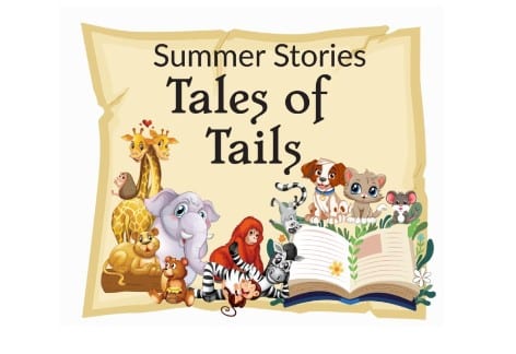 Summer Stories 2024 | Buttonwood Nature Center