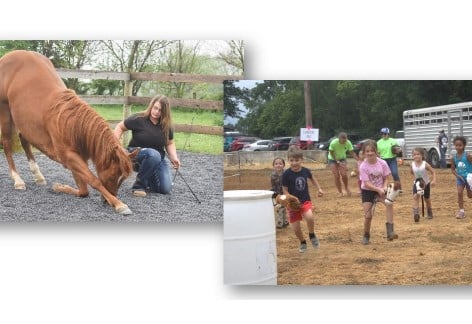 Free Admission: Franklin County Fair Horse Show | Chambersburg