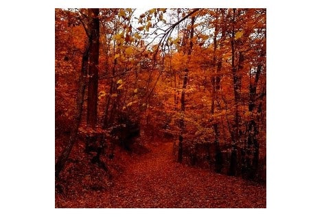 Fall Hike to the Overlook | Cowans Gap State Park, Fort Loudon