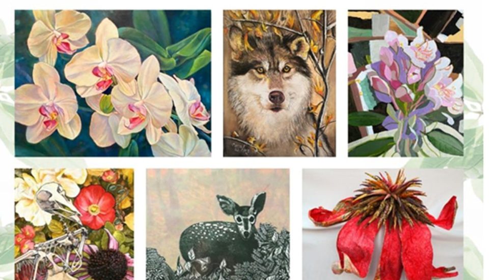 Where The Wild Things Are Flora & Fauna Exhibit Through October 26