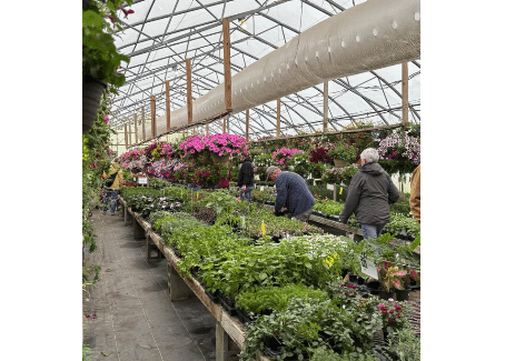 Spring Fest 5th Year Anniversary | Backroads Greenhouse, Chambersburg