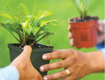 TWEP Perennial Exchange | Charles Brightbill Environmental Center, Mercersburg