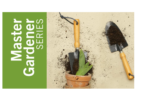 Master Gardener Victory Garden Series | Penn State Extension, Chambersburg