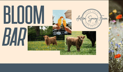 Bloom Bar | Antrim Spring Farm, Greencastle