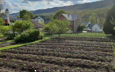 Foot of the Mountain Farm Celebrates at Great American Farmers Market
