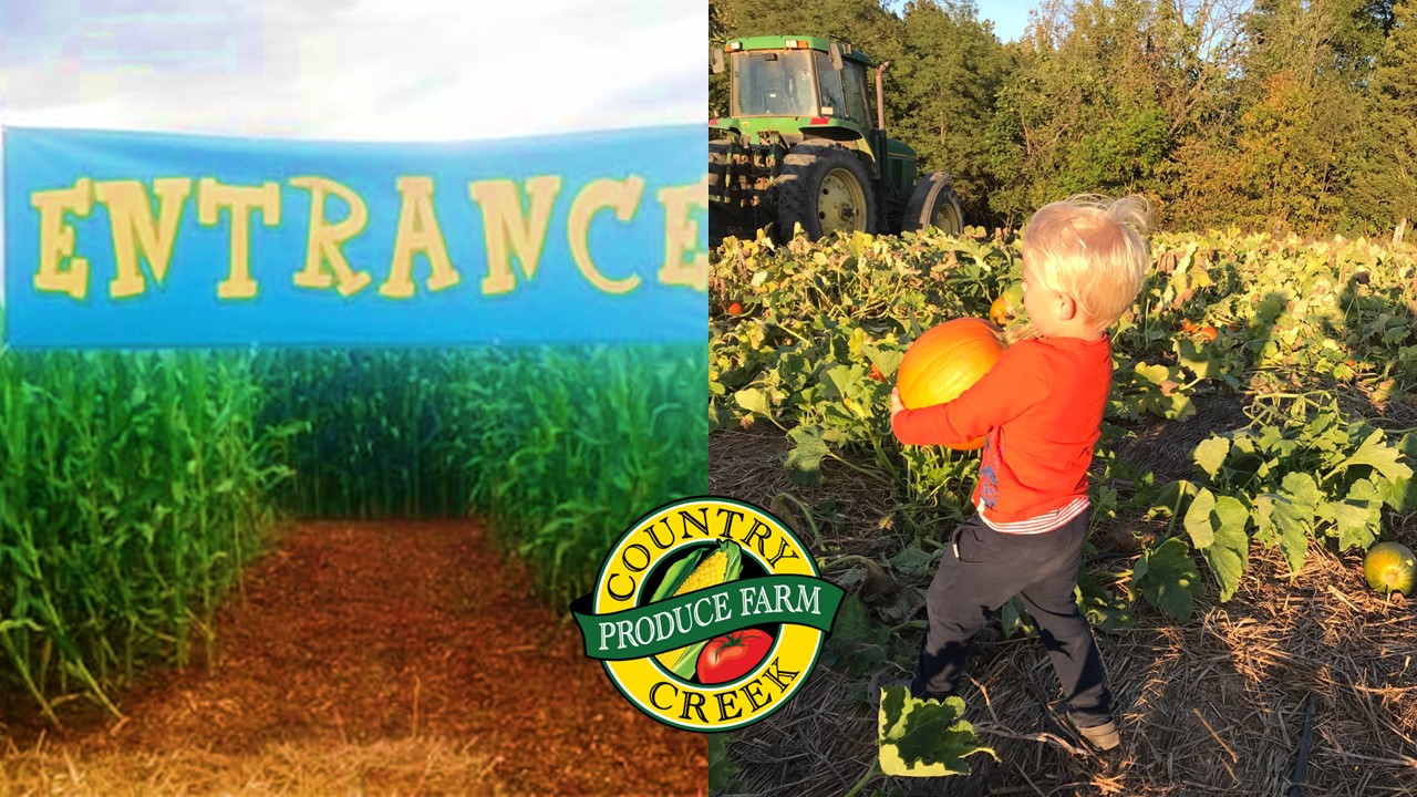 Country Creek Corn Maze and Farm is great fun for all ages.