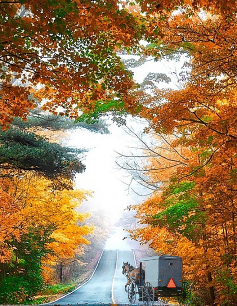 Take a fall drive in Franklin County Amish country.