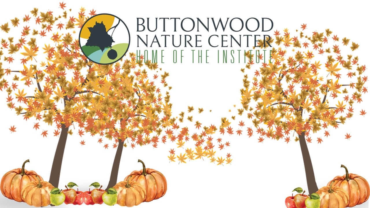 Pumpkin & Pippins is Buttonwood's fall celebration.