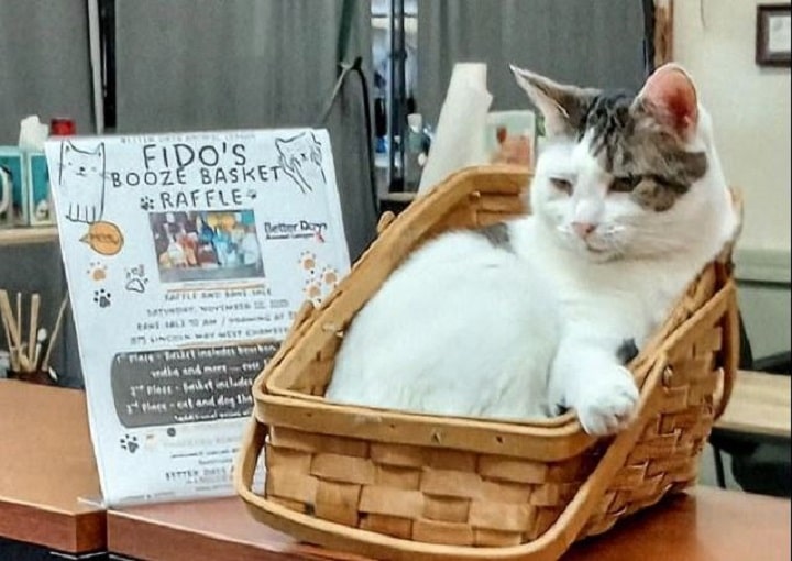 Fido’s Booze Basket Raffle & Bake Sale | Better Days Thrift Store, Chambersburg