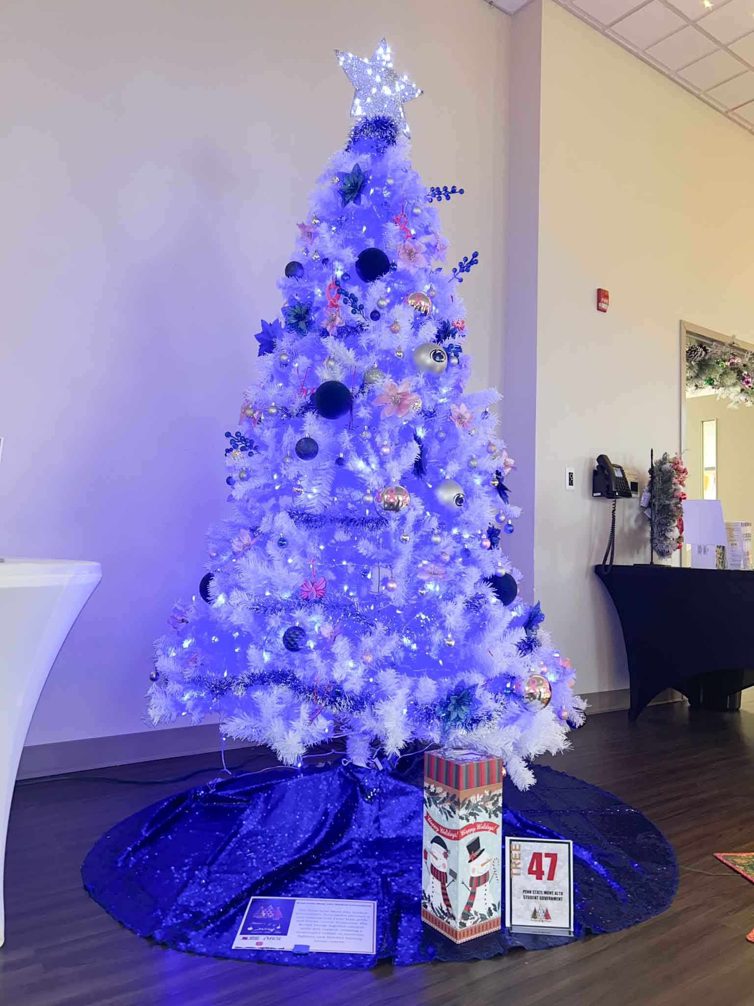 IMG_6868 Penn State Student Government Tree at Festival of Trees