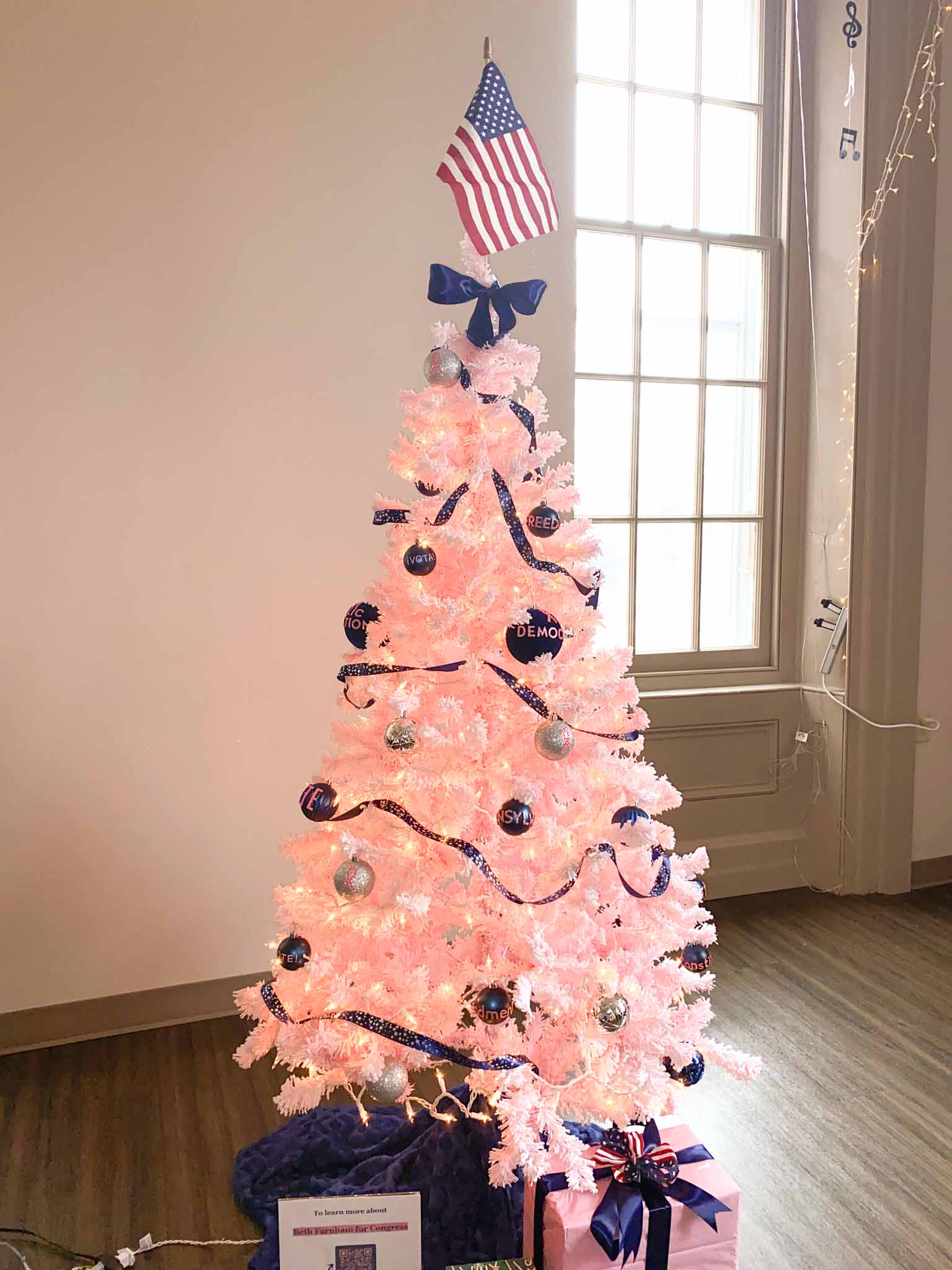 Tree (57) Beth Farnham for Congress Tree at Festival of Trees