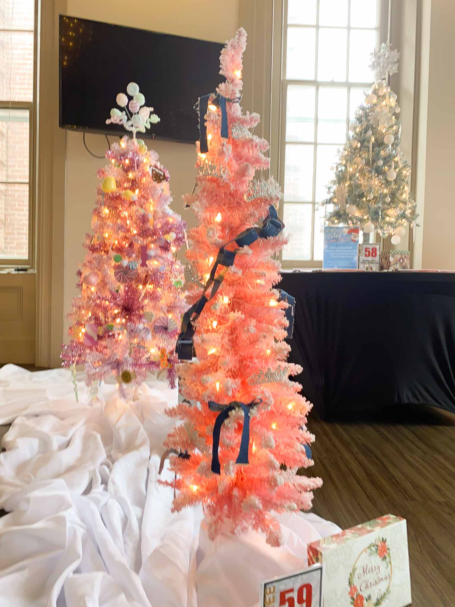 Tree (59) Franklin County Fair Royalty Tree at Festival of Trees