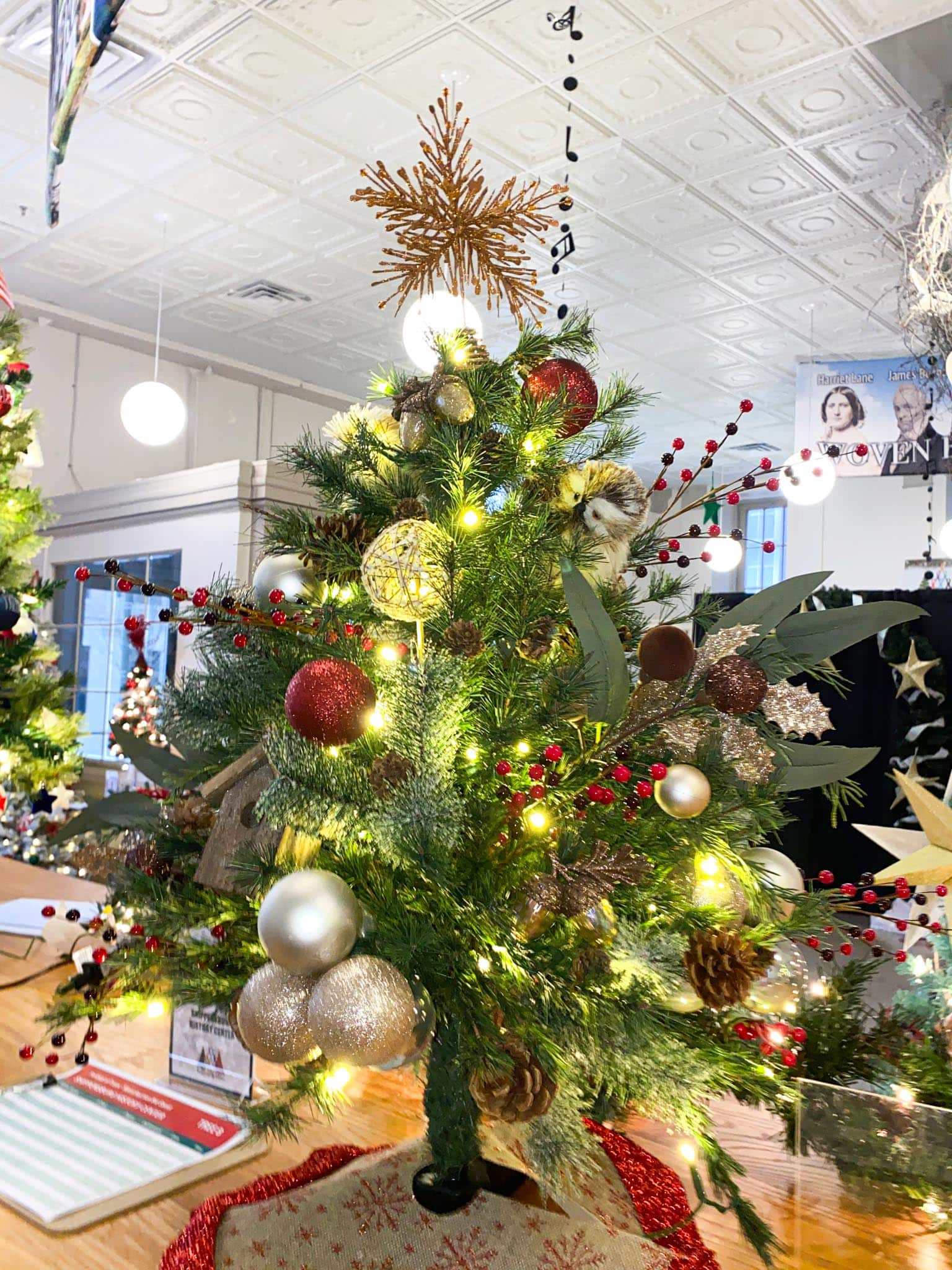 Tree (8) Shippensburg Historical Society Festival of Trees