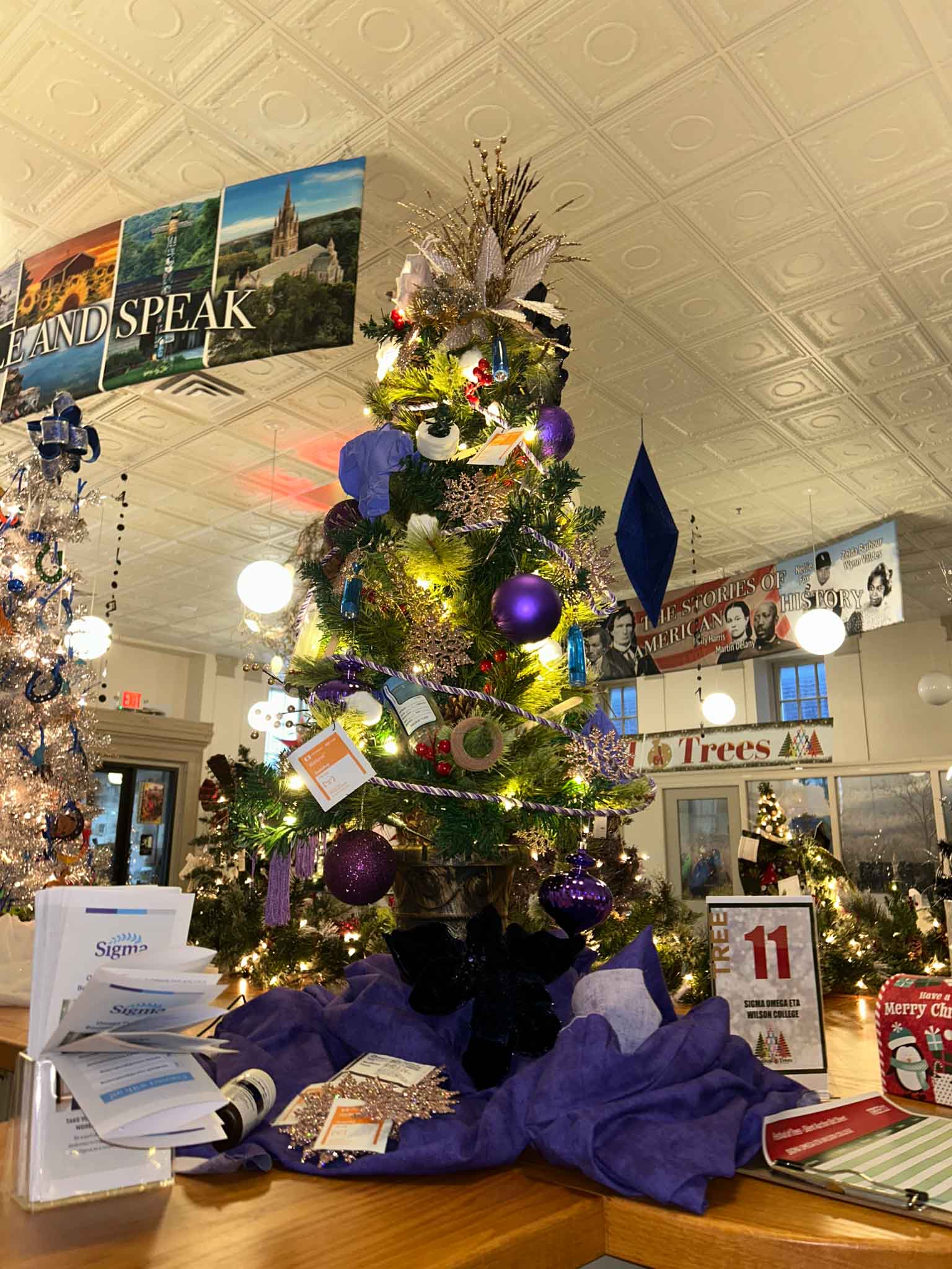 tree-fot (11) Sigma Omega Eta of Wilson College Festival of Trees