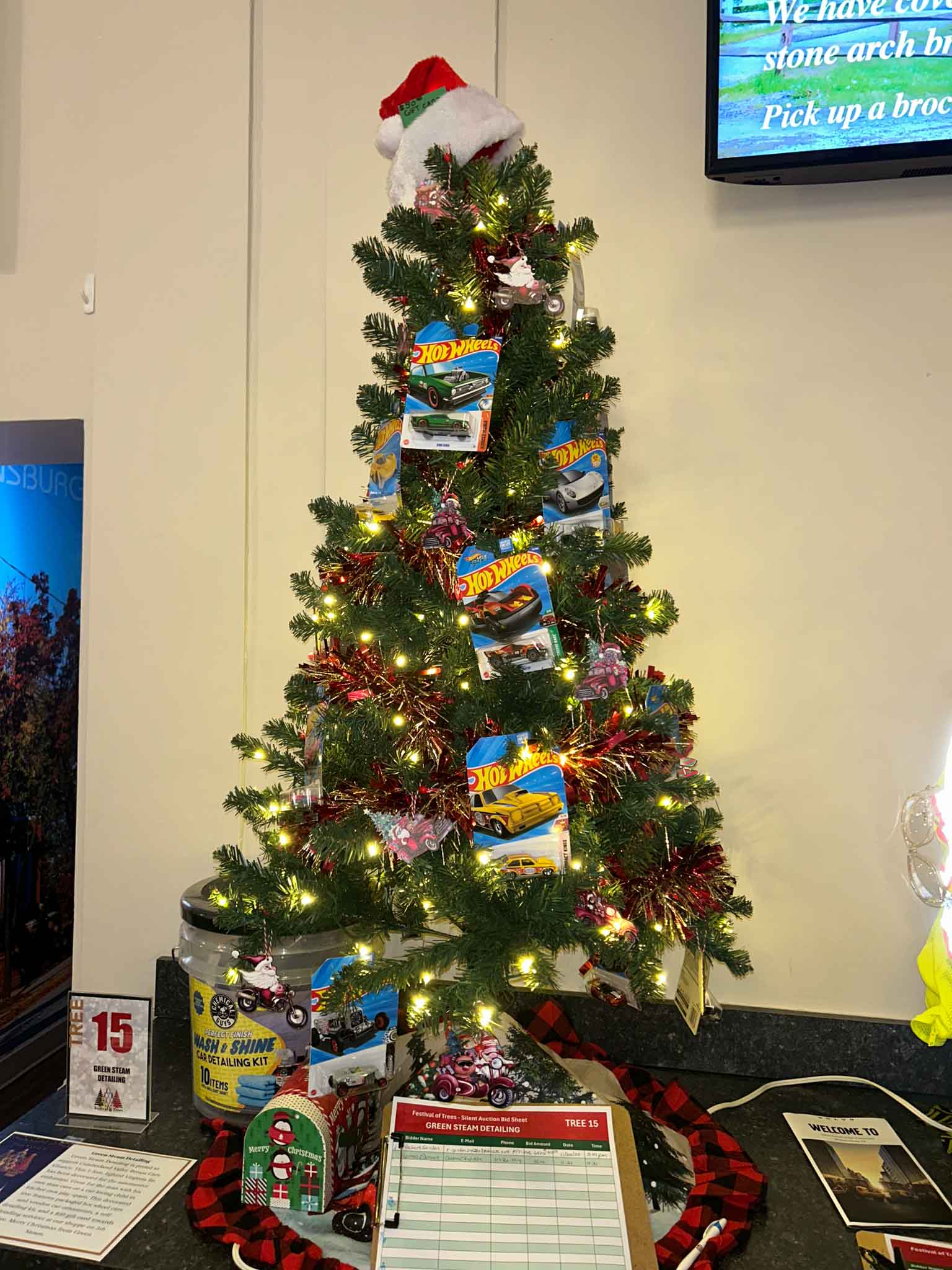 tree-fot (15) Green Steam Detailing at Festival of Trees