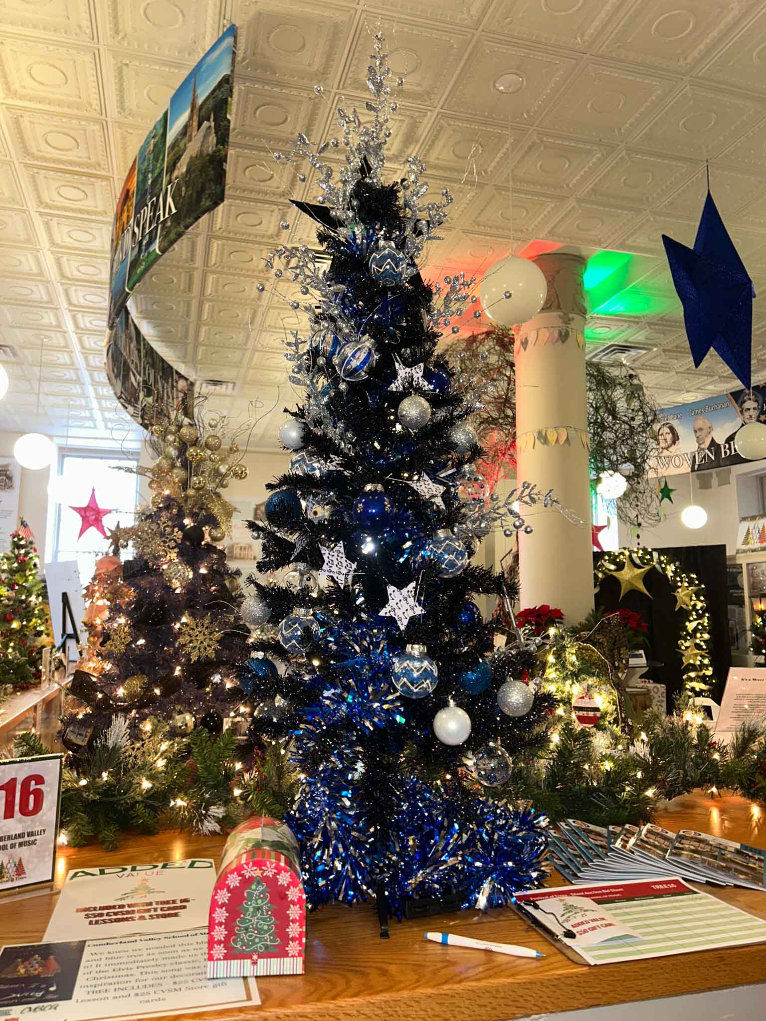 tree-fot (16) Cumberland Valley School of Music at Festival of Trees